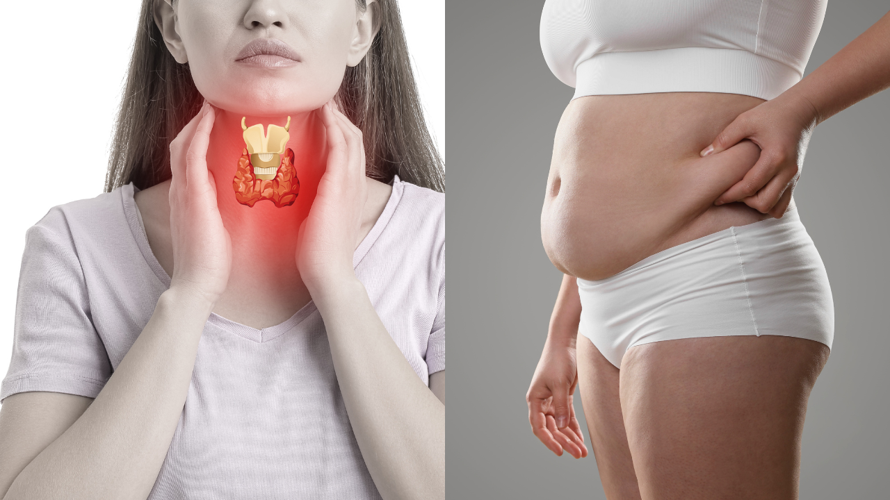 Stress, Cortisol & Adrenal Fatigue